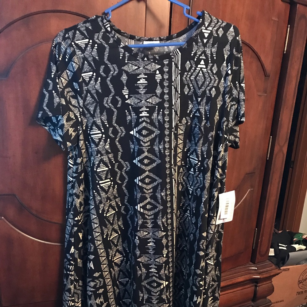 Lularoe Carly new